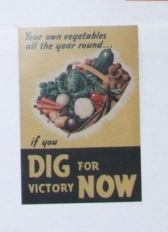 Dig for Victory Post Card