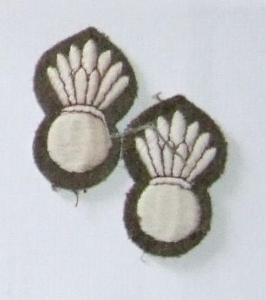 Pair of Grenadiers Sleeve Badges