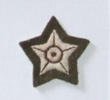 Army Drivers Sleeve Star - Guards