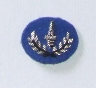 Combat Infantry 1st Grade Sleeve Badge