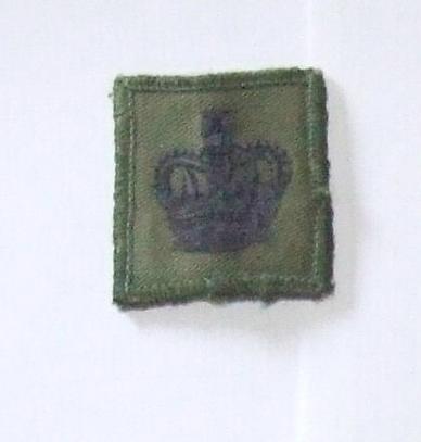 Warrant Officer 3rd Class Badge - Subdued