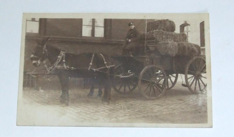 WW2 Photograph - Royal Artillery