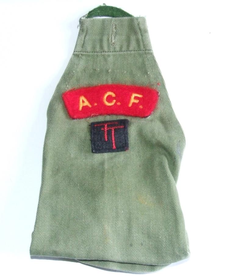 ACF 50th Infantry Division Brassard