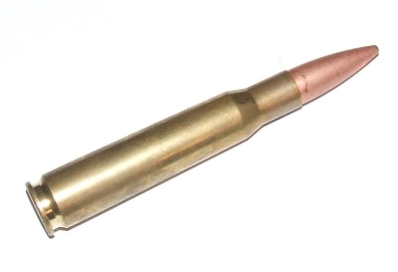 .50 Calibre Browning Cartridge