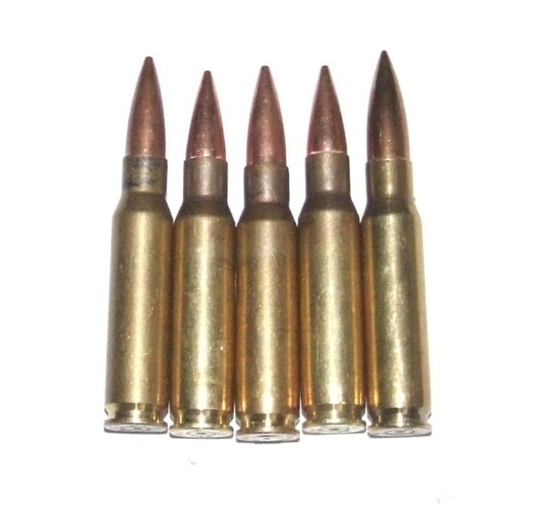 5 x NATO 7.62 Rounds